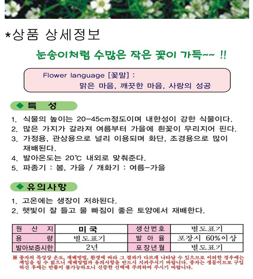 안개초 씨앗 소포장 야생화 꽃씨 종자 품종 안개꽃 3g/씨/씨앗/야생화씨/야생화씨앗/야생화키우기/꽃씨앗/