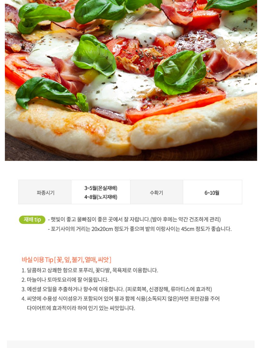 허브 씨앗 야생화 꽃씨 허브 종자 바실 품종 50립/씨/씨앗/허브씨/허브씨앗/야생화씨/야생화씨앗/야생화키