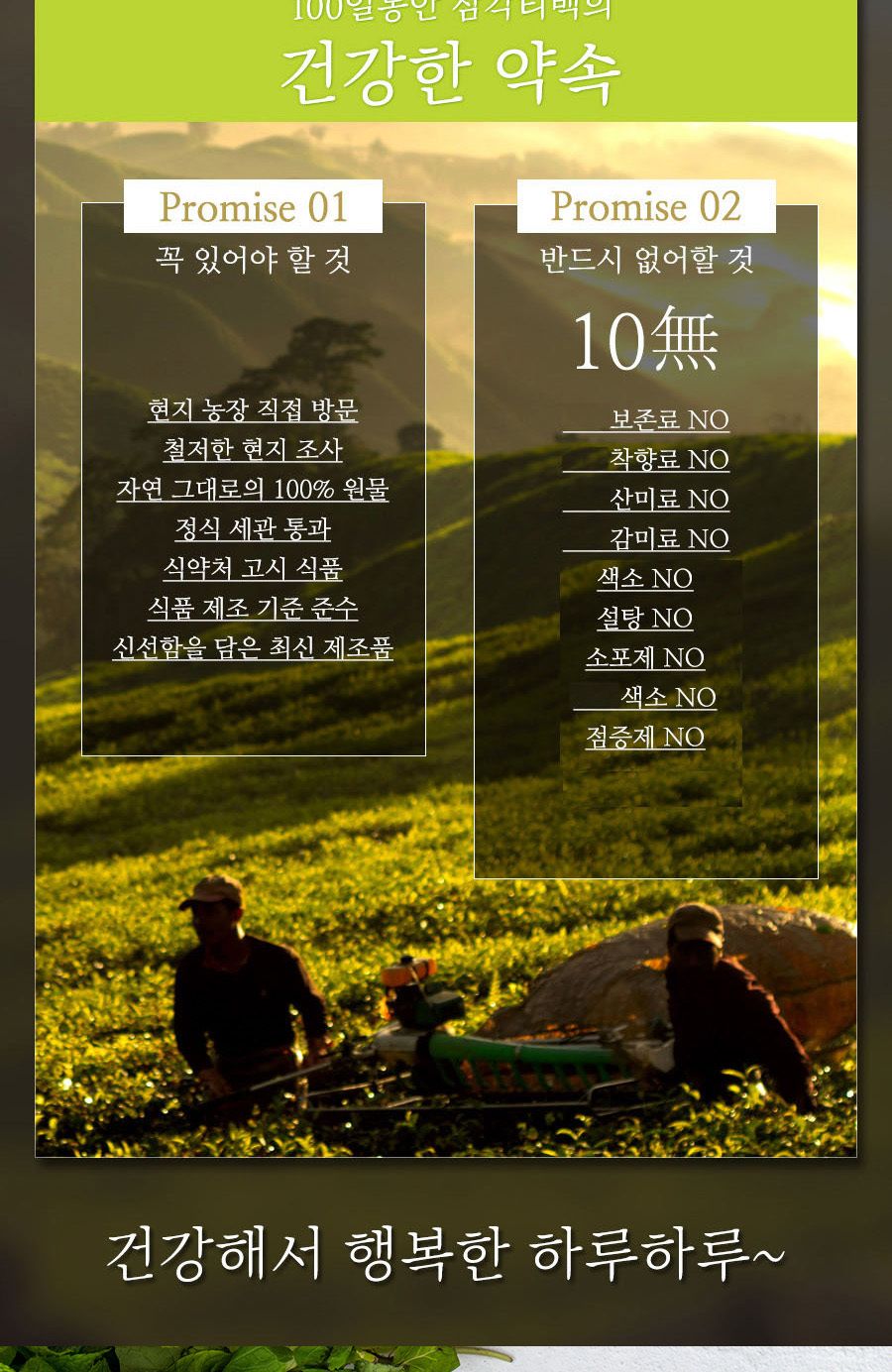 100일동안 감잎민트차 삼각티백 100개입 대용량/감잎민트티백/감잎민트티벡/감잎티백/감잎민트차/티벡차/삼