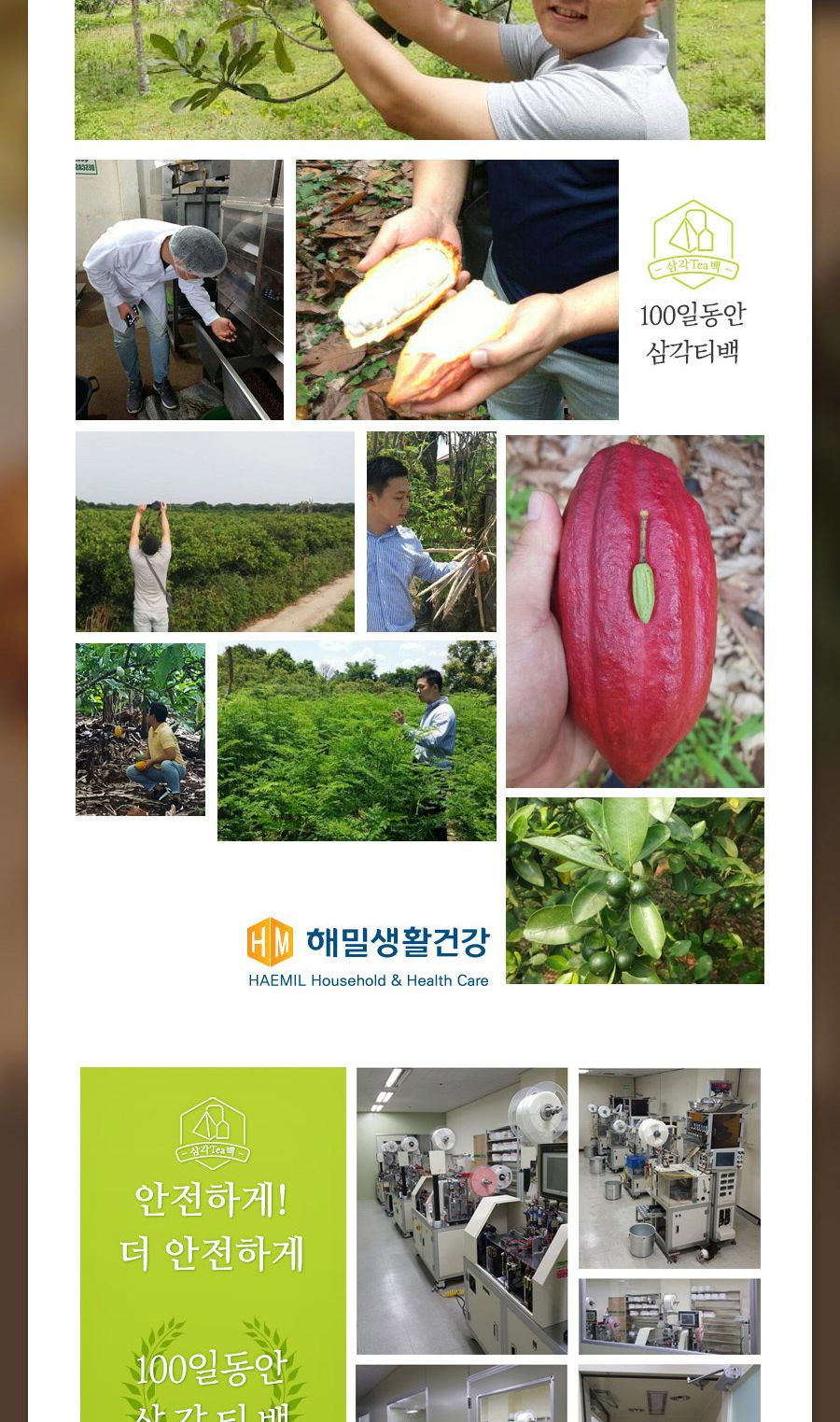 100일동안 호박팥차 삼각티백 100개입 대용량/호박팥티백/호박팥티벡/호박티백/호박차/티벡차/삼각티백차/