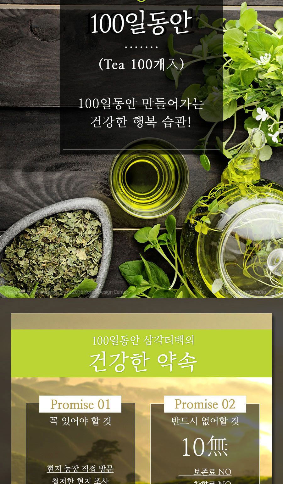 100일동안 루이보스티 삼각티백 100개입 대용량/루이보스티백/루이보스티벡/허브티백/허브차/티벡차/삼각티