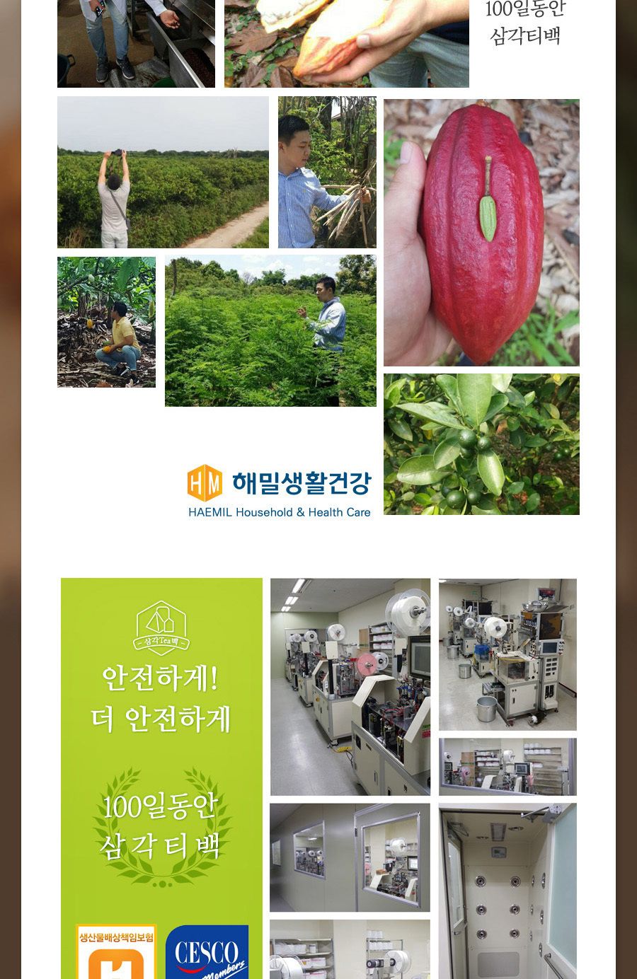 100일동안 마리골드차 삼각티백 100개입 대용량/마리골드티백/마리골드티벡/허브티백/허브차/티벡차/삼각티