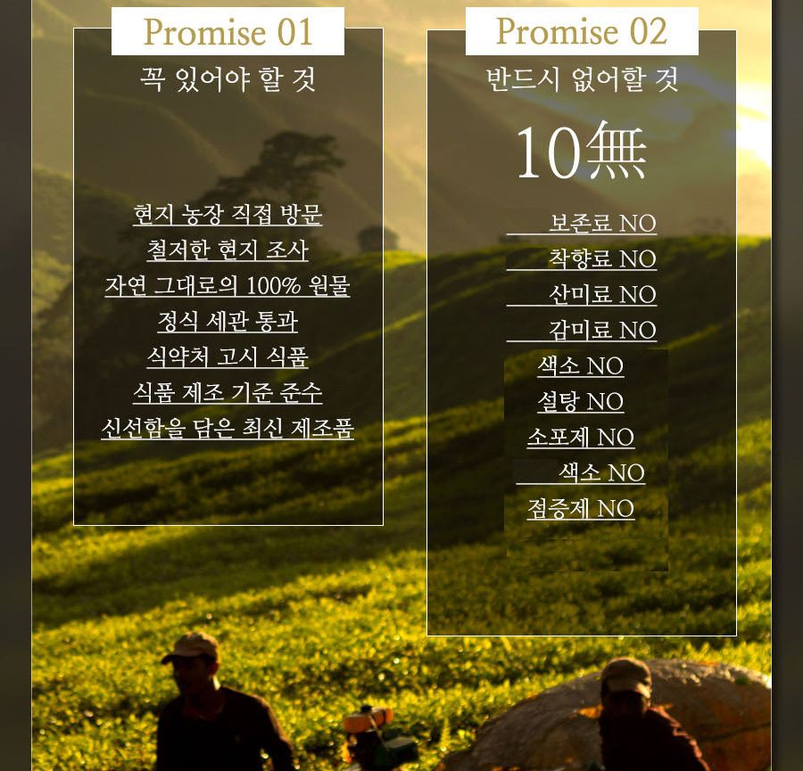 100일동안 구기자차 삼각티백 100개입 대용량/구기자티백/구기자티벡/구기자차티백/구기자/티벡차/삼각티백