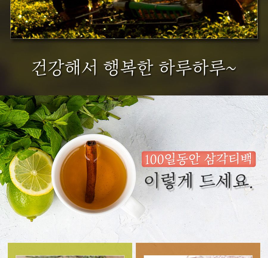 100일동안 구기자차 삼각티백 100개입 대용량/구기자티백/구기자티벡/구기자차티백/구기자/티벡차/삼각티백