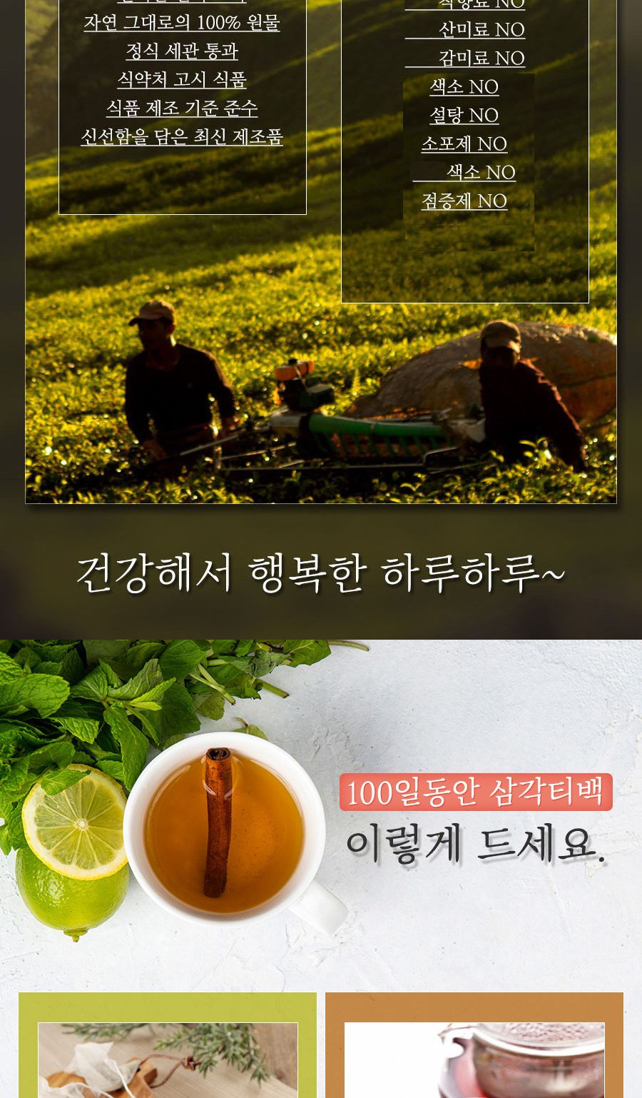 100일동안 계피차 삼각티백 100개입 대용량/계피티백/계피티벡/계피차티백/계피차/티벡차/삼각티백차/삼각