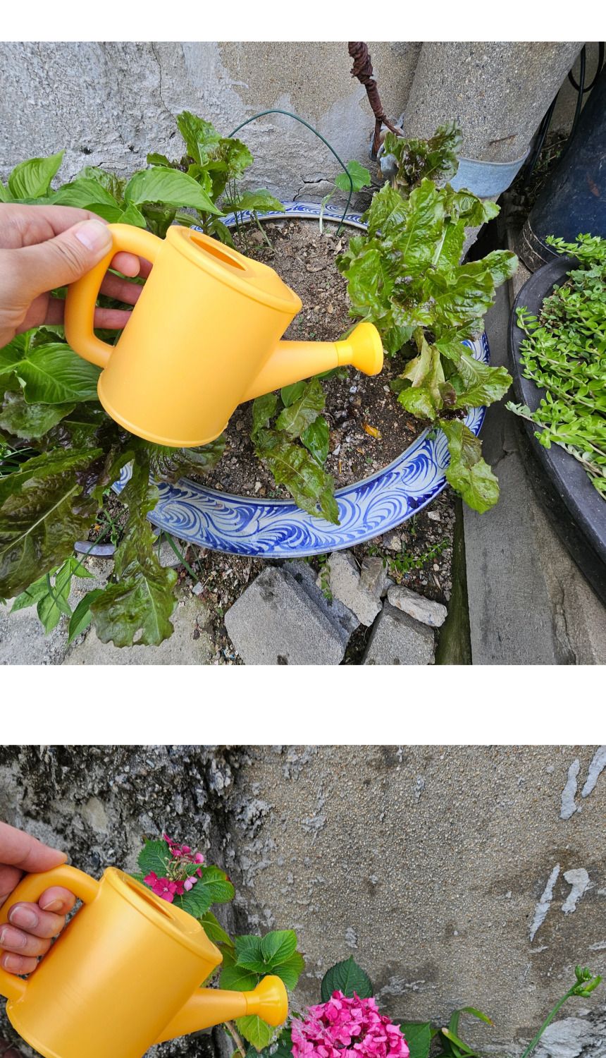 플라스틱 병아리 물조리개 옐로우 물뿌리개/물조리개/물조리게/물뿌리게/화분물조리개/화분물분사기/화분물