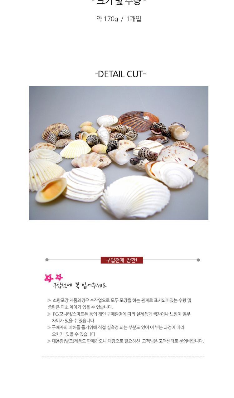 꾸미기재료 - 천연조개껍질(혼합)/조개/조개껍질/꾸미기조개/만들기조개/만들기재료/꾸미기용품/꾸미기재료