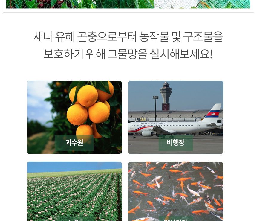 새 그물 망 방조망 농작물 보호 참새 비둘기2x5M/새그물망/조류망/비둘기그물망/대형새그물/참새그물/고라