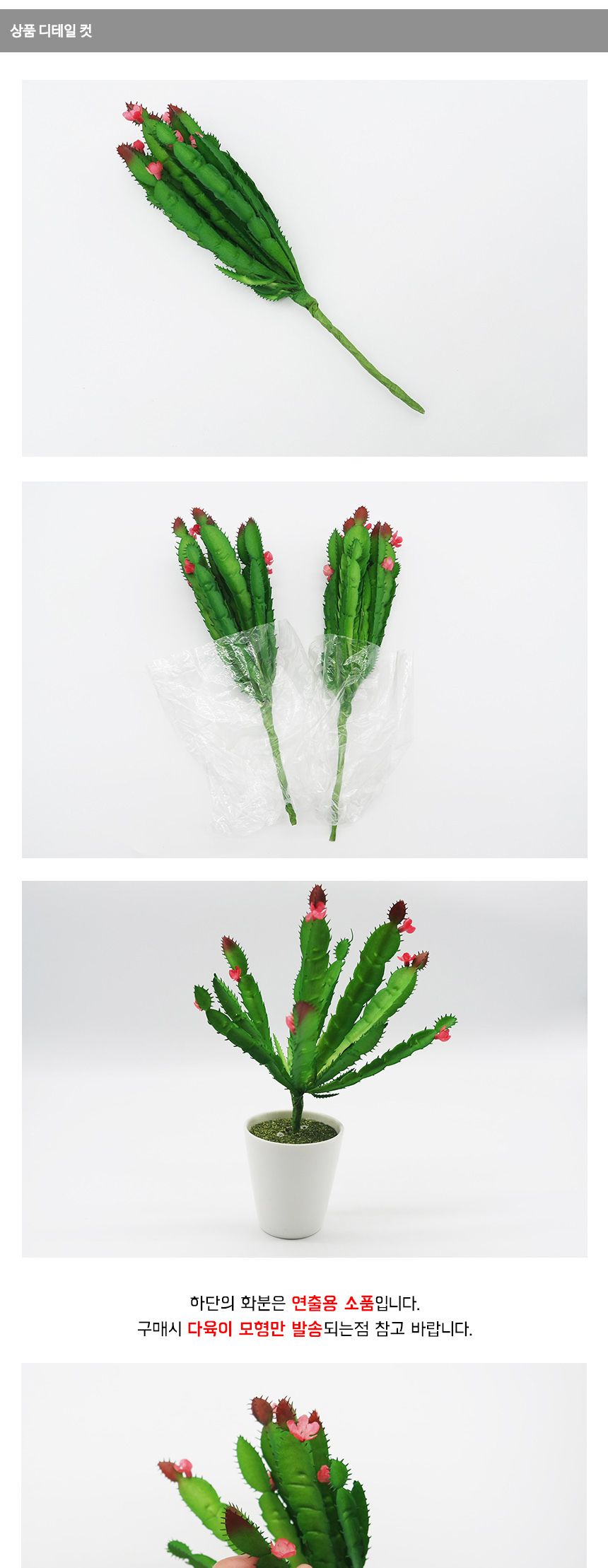 다육이 조화 선인장 디테일한 정원 인테리어/조화/다육이/미니다육이/조화다육이/식물조화/미니조화/플랜테