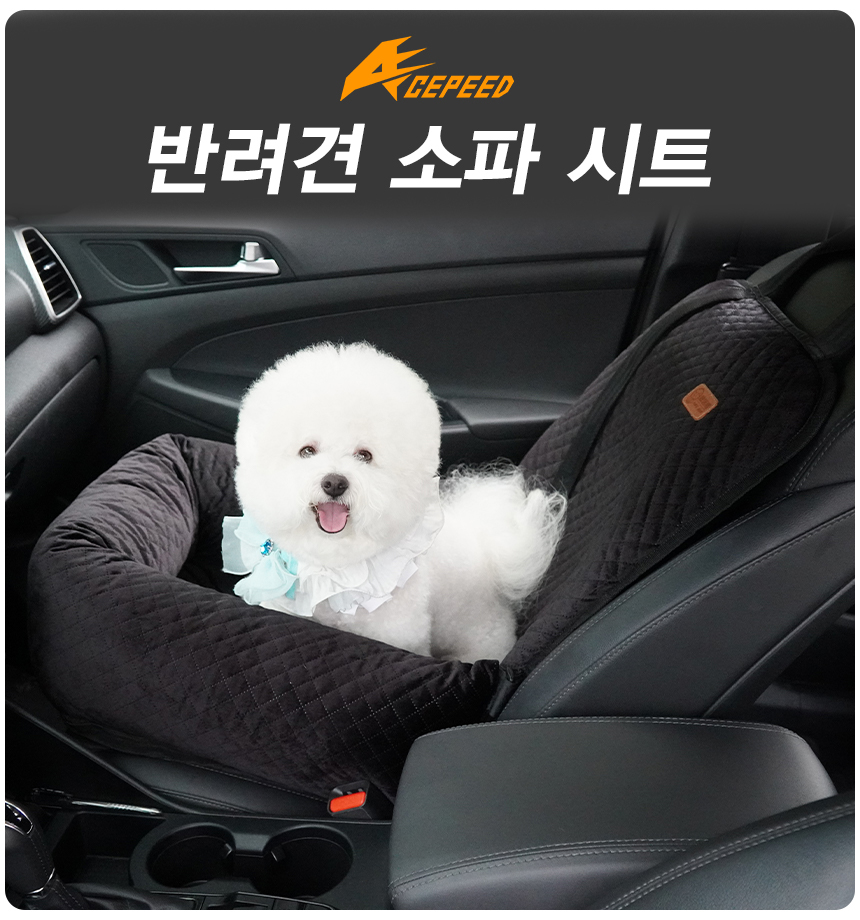 프리미엄 강아지 애완견 소형견 소파형 카시트 블랙/펫시트/펫카시트/강아지카시트/애완견시트/애견카시트/