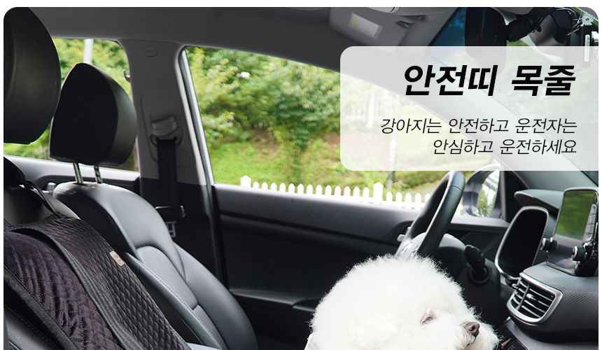 프리미엄 강아지 애완견 소형견 소파형 카시트 베이지/펫시트/펫카시트/강아지카시트/애완견시트/애견카시