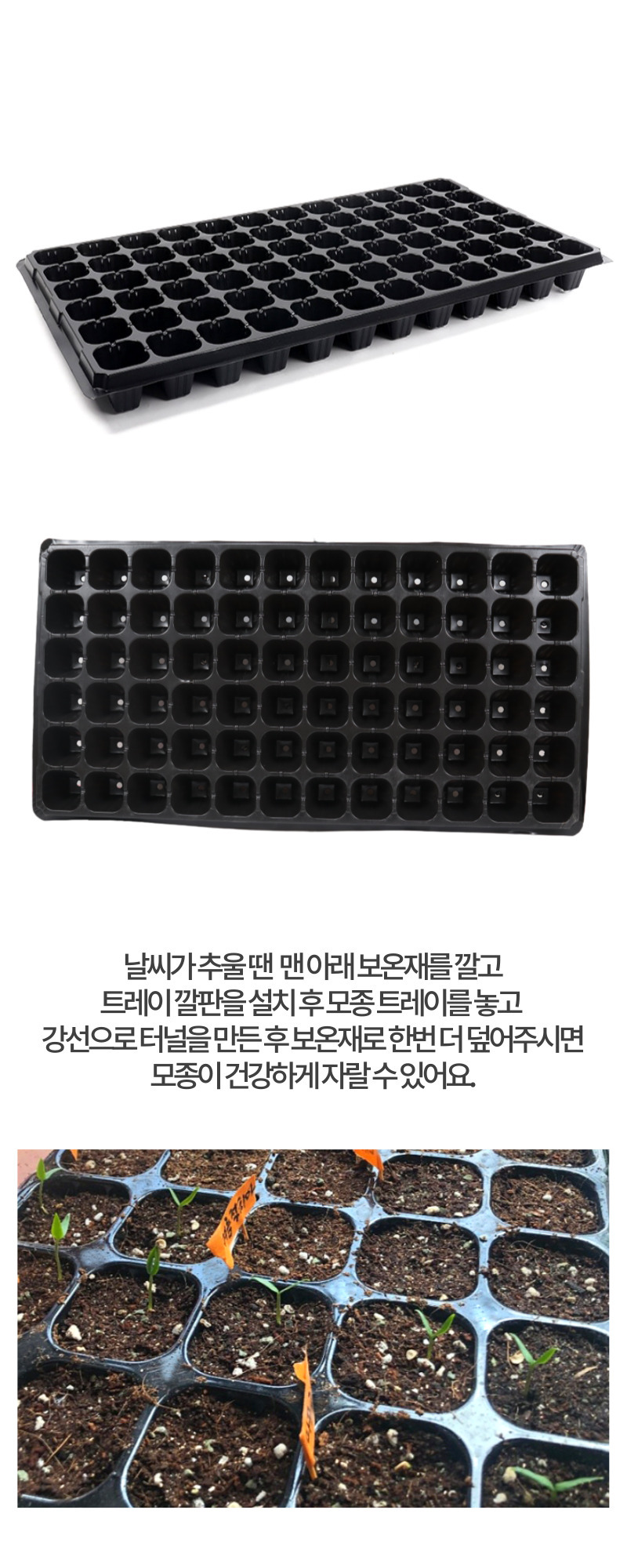 모종 트레이 모종판 육묘판 72구 5개/모종/모종이식/모종판/모종트레이/육묘/고추모종/수박모종/상추모종/