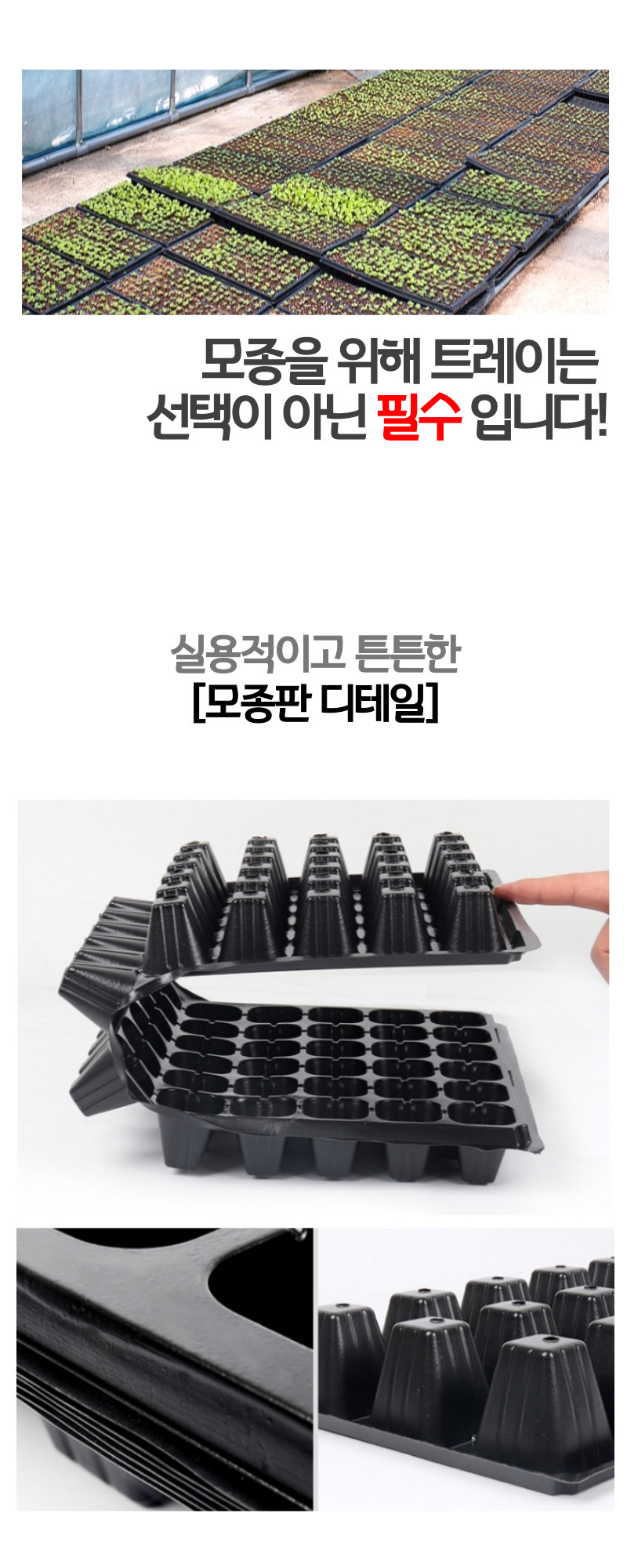 모종 트레이 모종판 육묘판 72구 5개/모종/모종이식/모종판/모종트레이/육묘/고추모종/수박모종/상추모종/