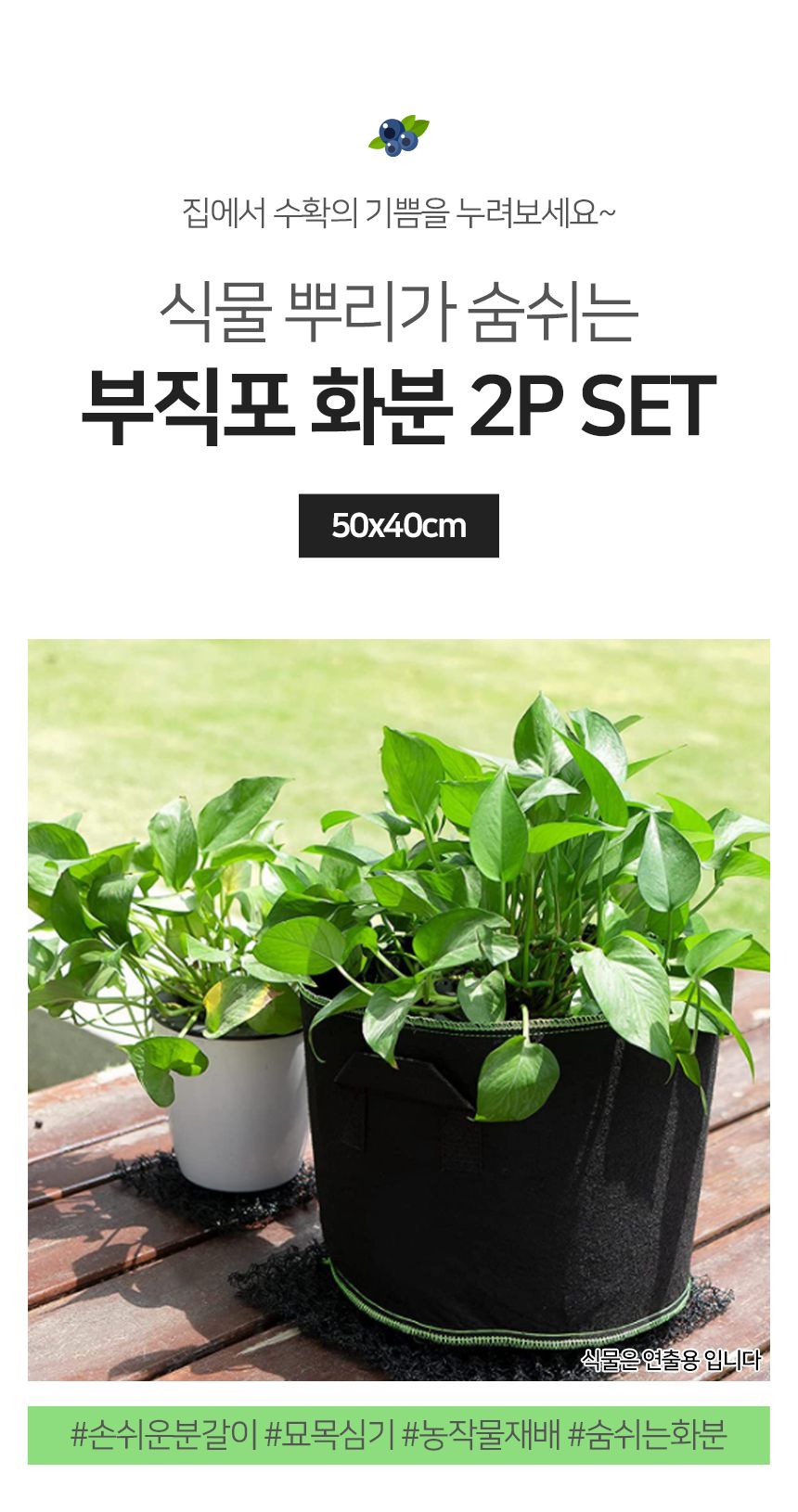 대형 부직포 화분 (2p 50x40cm 블랙 그린) DK55/부직포화분/텃밭화분/야채재배/베란다화분/모종화분/원예용