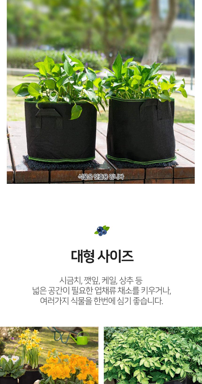 대형 부직포 화분 (2p 50x40cm 블랙 그린) DK55/부직포화분/텃밭화분/야채재배/베란다화분/모종화분/원예용