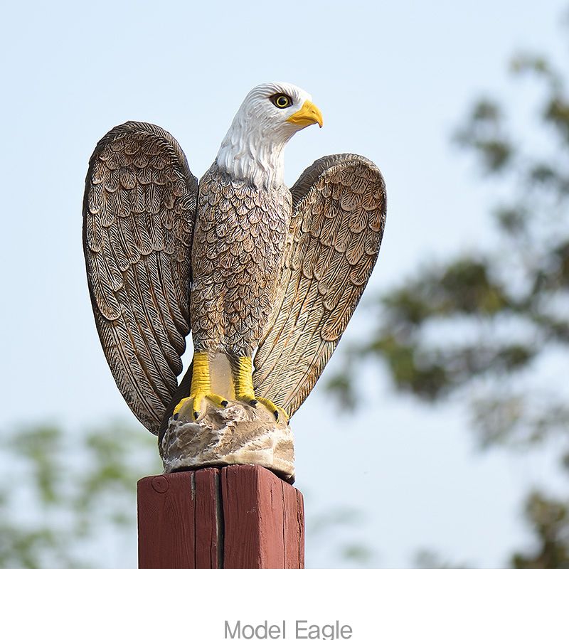 조류퇴치/프라모델/독수리모형/모형독수리/매모형/장식용독수리/동물장식품/모형/동물모형/독수리장식품