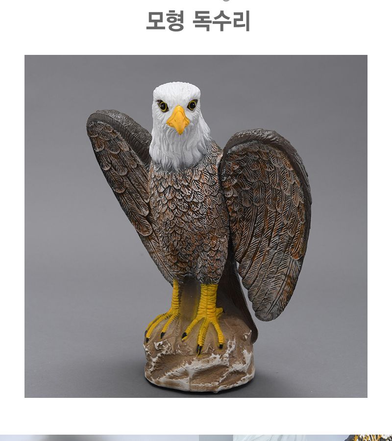 조류퇴치/프라모델/독수리모형/모형독수리/매모형/장식용독수리/동물장식품/모형/동물모형/독수리장식품
