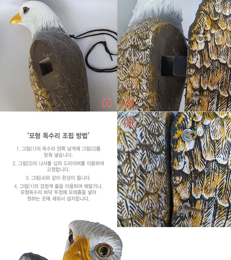 조류퇴치/프라모델/독수리모형/모형독수리/매모형/장식용독수리/동물장식품/모형/동물모형/독수리장식품