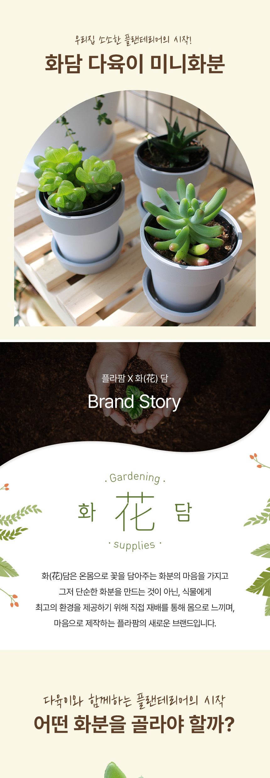 (플라팜) 다육이화분+받침 48입 대량구매 박스출고/화분/다육이화분/미니화분/미니화분세트/다육세트/다육