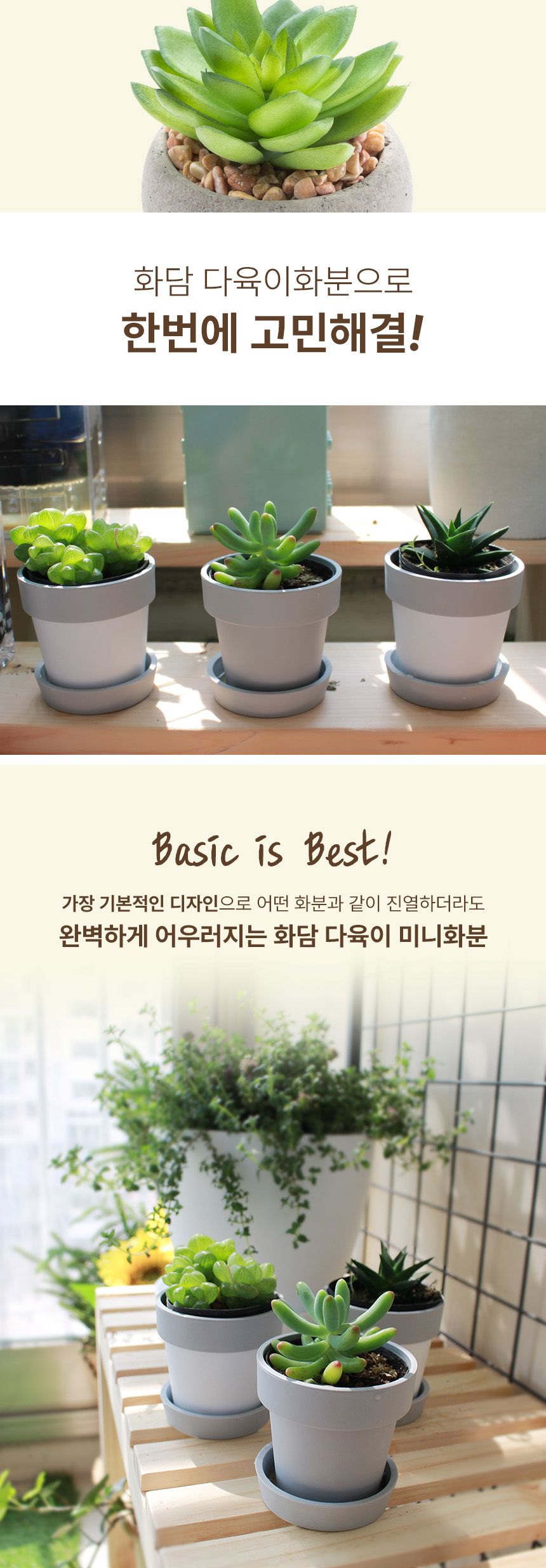 (플라팜) 다육이화분+받침 48입 대량구매 박스출고/화분/다육이화분/미니화분/미니화분세트/다육세트/다육