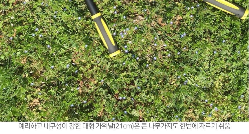 고내구성 고강도 양손 전지가위 대형 원예 전정가위/양손전지가위/대형전지가위/긴전지가위/나무전지가위/