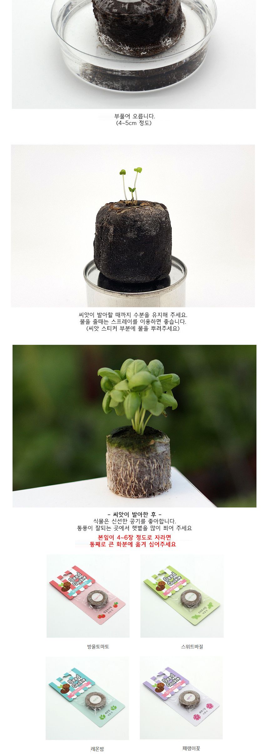 양분함유 식물모종 팰릿 2개/씨앗/씨앗도매/씨앗판촉물/홈가드닝/종자/가드닝용품/채소씨앗/씨앗판매/반려