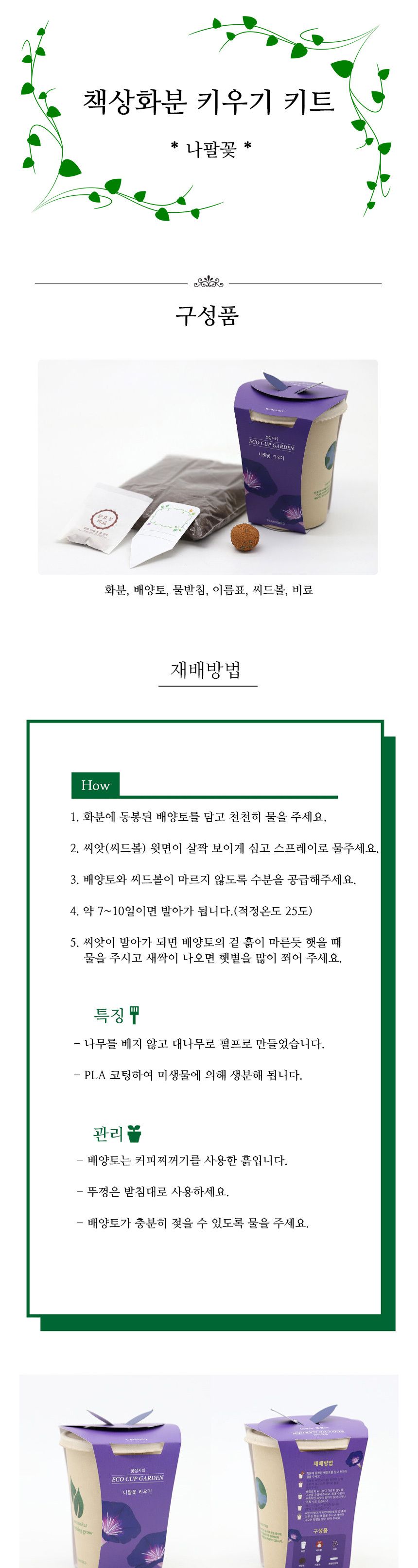 미니 화분 나팔꽃 키우기 씨앗 재료 묶음/꽃키우기/꽃화분/식물화분/재배세트/식물키우기/가정용식물/어린