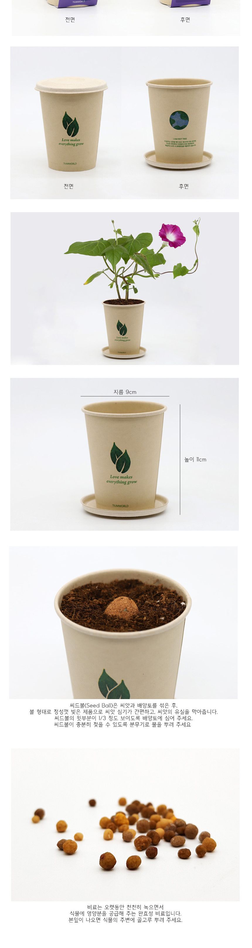 미니 화분 나팔꽃 키우기 씨앗 재료 묶음/꽃키우기/꽃화분/식물화분/재배세트/식물키우기/가정용식물/어린