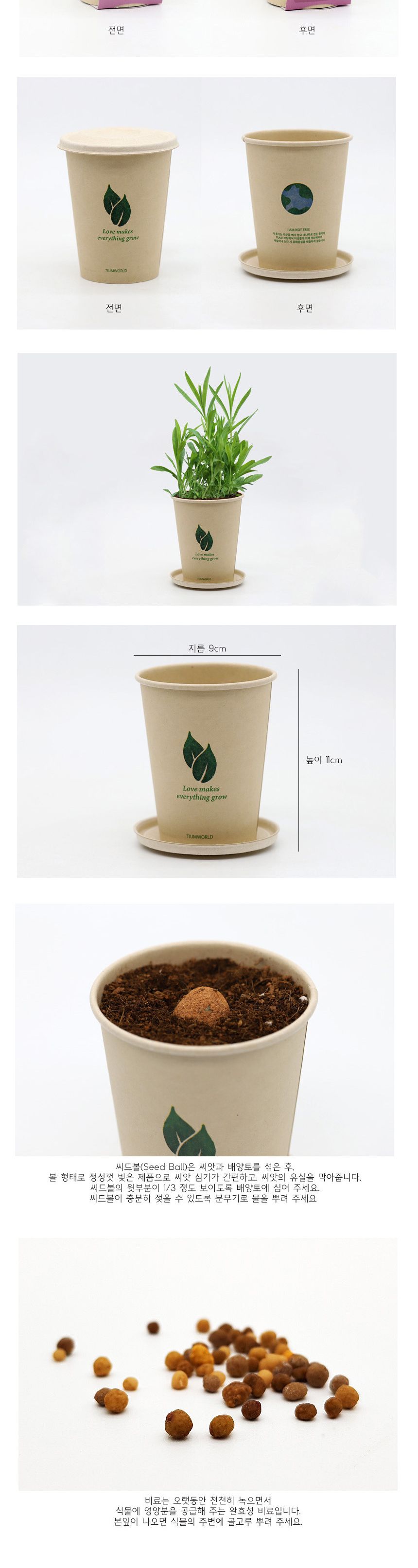 미니 화분 패랭이꽃 키우기 씨앗 재료 묶음/식물키우기/식물기르기/한컵새싹/컵식물/식물관찰/관찰학습/아