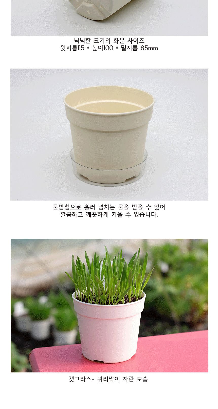 캣그라스 고양이풀 귀리 씨앗 화분 묶음 키트/고양이캣잎/고양이용품/식물인테리어/키우기쉬운식물/캣닢/고