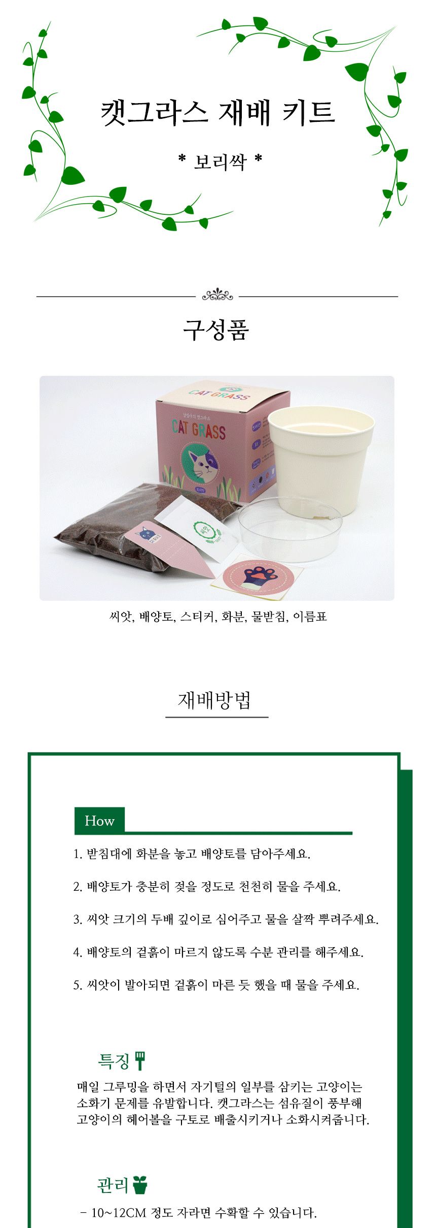 캣그라스 고양이풀 보리 씨앗 화분 묶음 키트/고양이캣잎/고양이용품/식물인테리어/키우기쉬운식물/캣닢/고