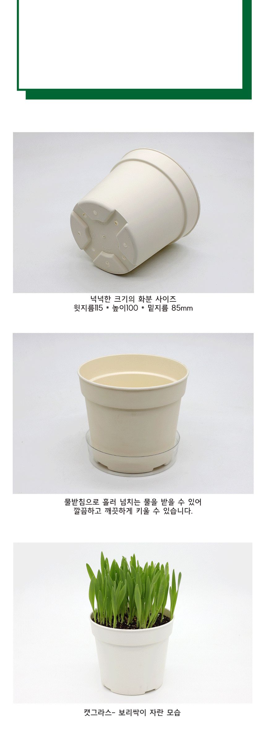 캣그라스 고양이풀 보리 씨앗 화분 묶음 키트/고양이캣잎/고양이용품/식물인테리어/키우기쉬운식물/캣닢/고