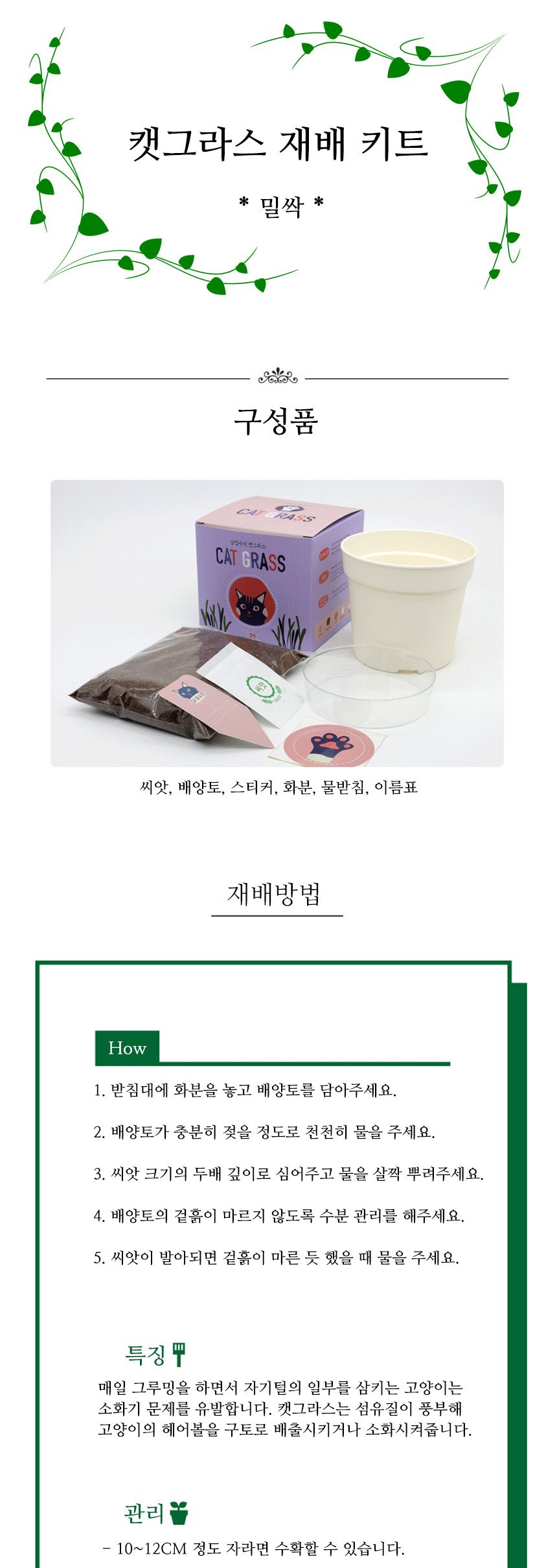 캣그라스 고양이풀 밀싹 씨앗 화분 묶음 키트/고양이캣잎/고양이용품/식물인테리어/키우기쉬운식물/캣닢/고