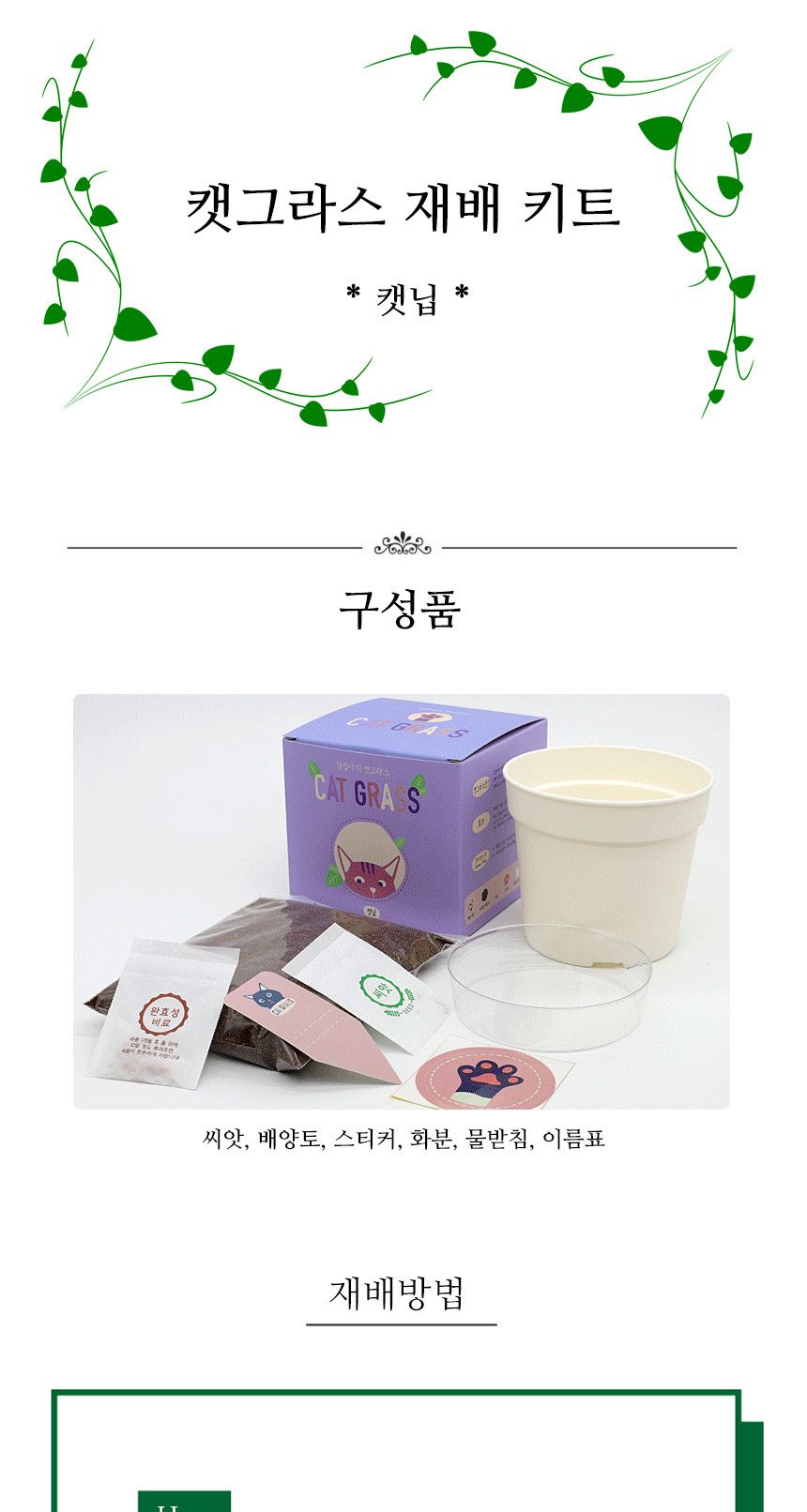 캣그라스 고양이풀 캣닢 씨앗 화분 묶음 키트/고양이캣잎/고양이용품/식물인테리어/키우기쉬운식물/캣닢/고