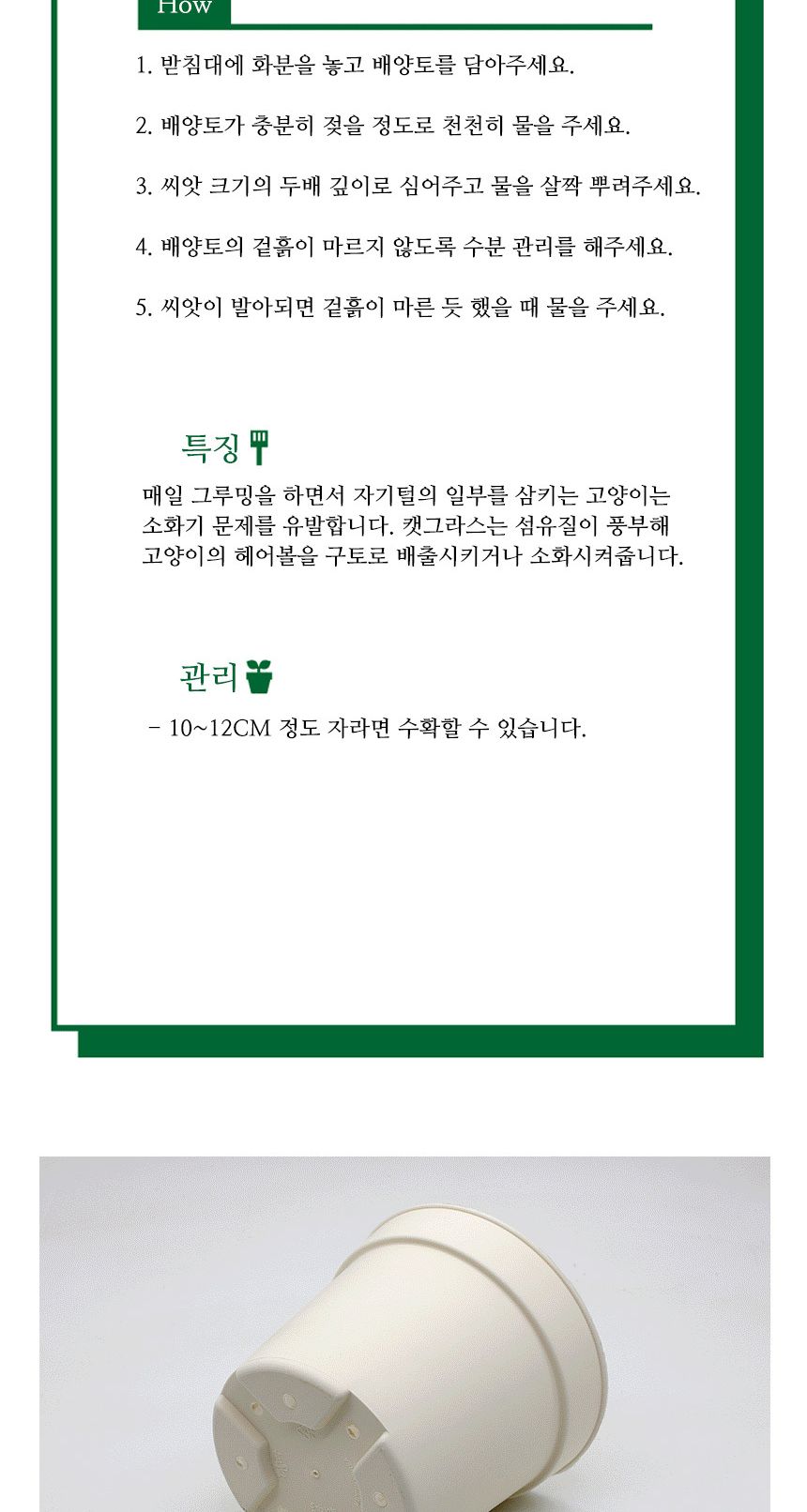 캣그라스 고양이풀 캣닢 씨앗 화분 묶음 키트/고양이캣잎/고양이용품/식물인테리어/키우기쉬운식물/캣닢/고