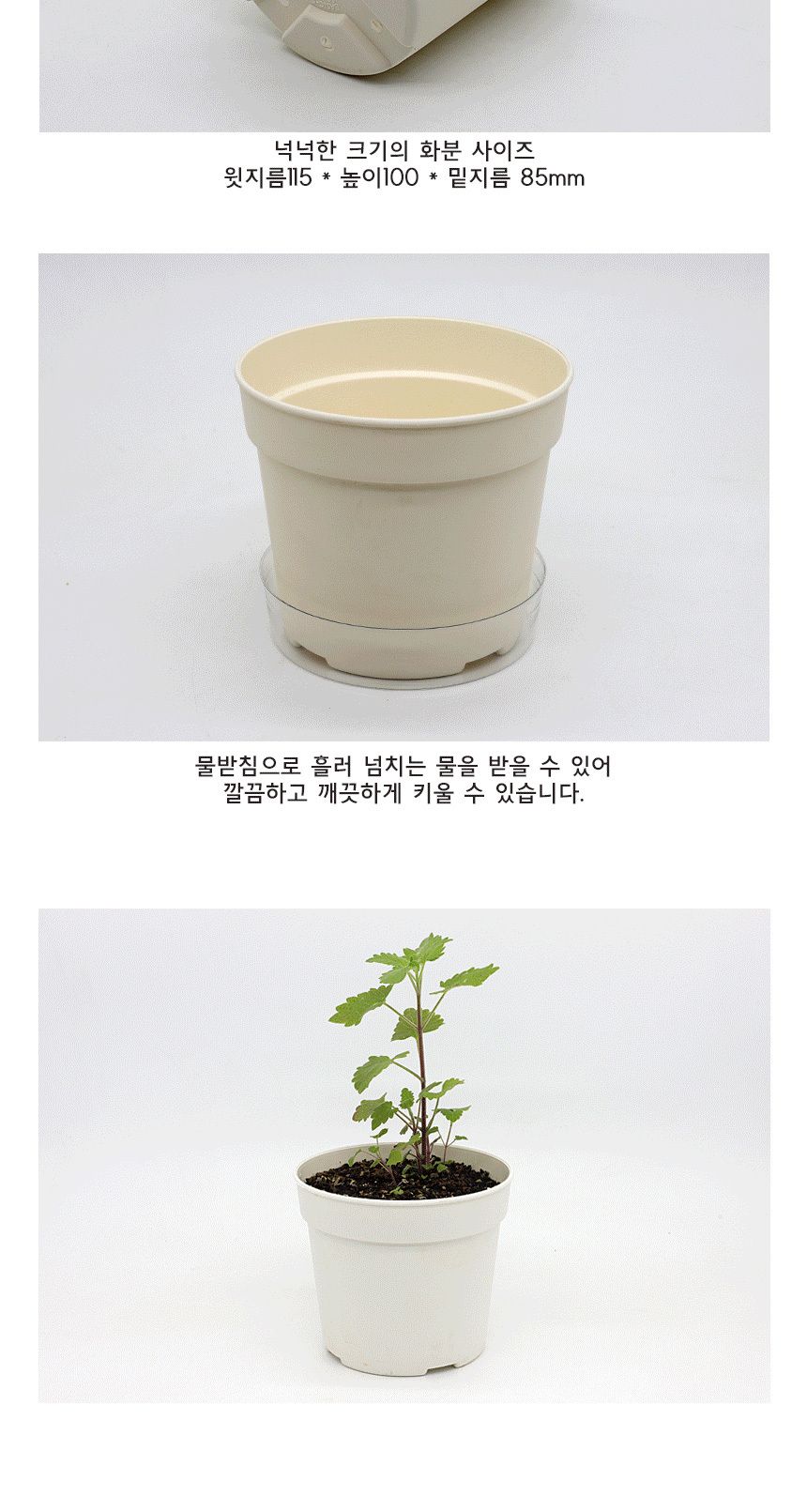 캣그라스 고양이풀 캣닢 씨앗 화분 묶음 키트/고양이캣잎/고양이용품/식물인테리어/키우기쉬운식물/캣닢/고