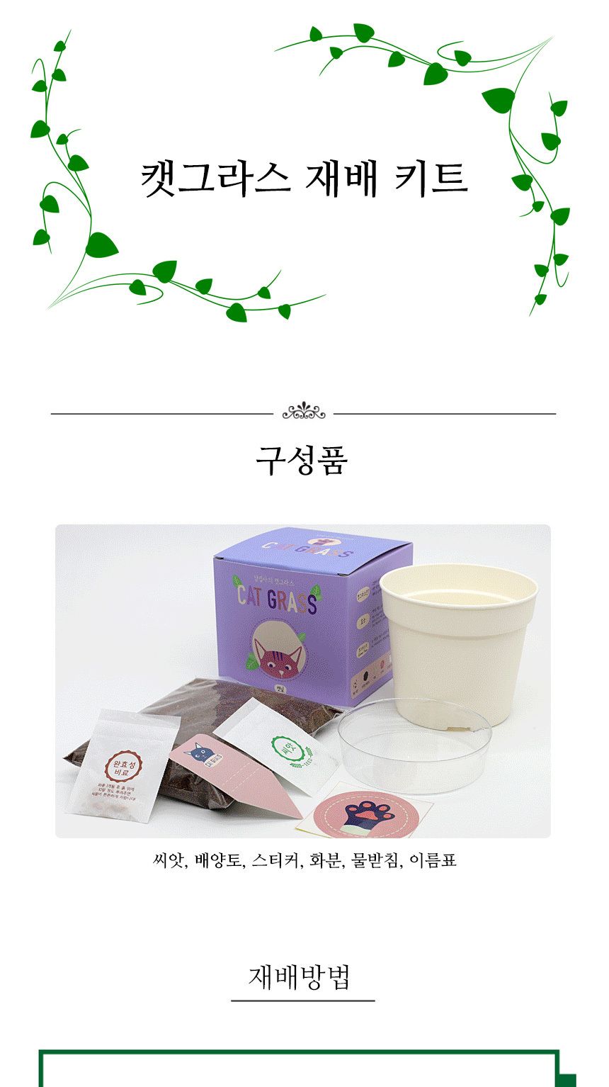 캣그라스 고양이풀 새싹 씨앗 화분 세트/고양이캣잎/고양이용품/식물인테리어/키우기쉬운식물/캣닢/고양이