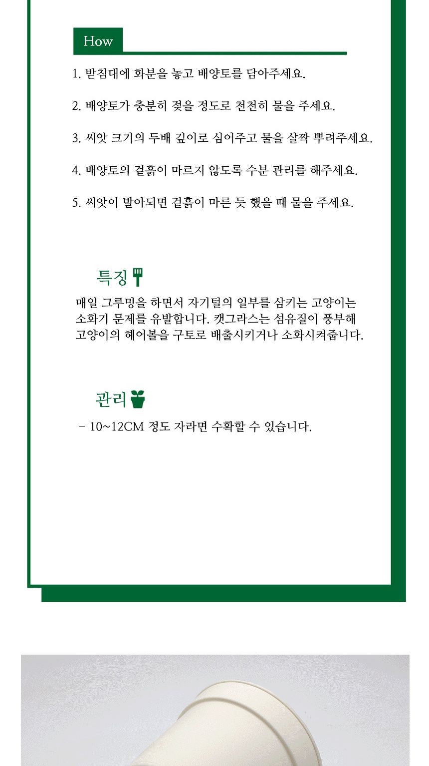 캣그라스 고양이풀 새싹 씨앗 화분 세트/고양이캣잎/고양이용품/식물인테리어/키우기쉬운식물/캣닢/고양이