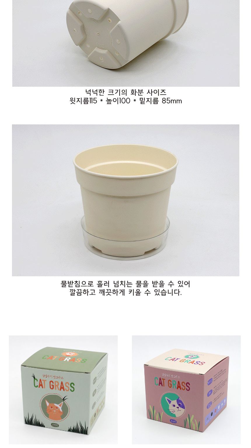 캣그라스 고양이풀 새싹 씨앗 화분 세트/고양이캣잎/고양이용품/식물인테리어/키우기쉬운식물/캣닢/고양이
