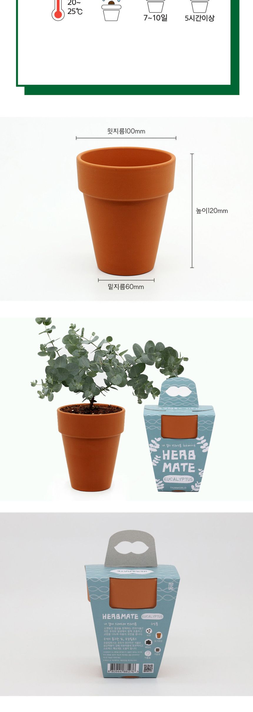 반려식물 유칼립투 키우기 재료 모음 세트/식물키우기/식물재배기/DIY키트/홈가드닝/취미키트/반려식물/실