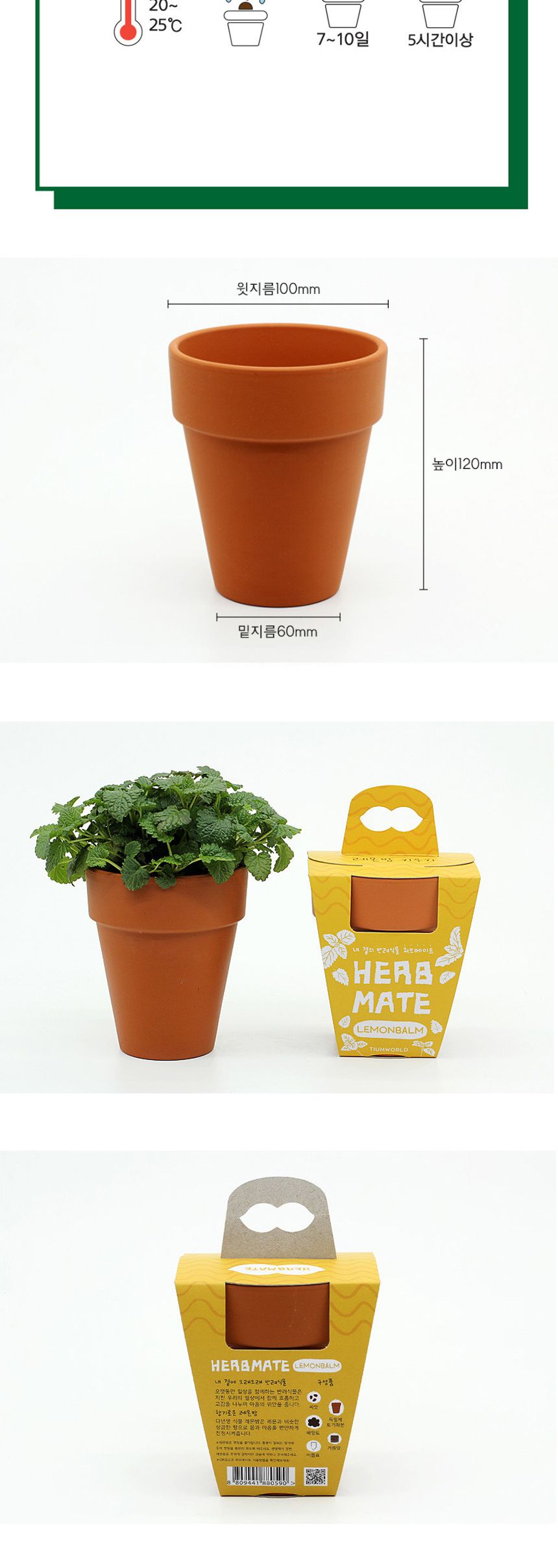 반려식물 레몬밤 키우기 재료 모음 세트/식물키우기/식물재배기/DIY키트/홈가드닝/취미키트/반려식물/실내