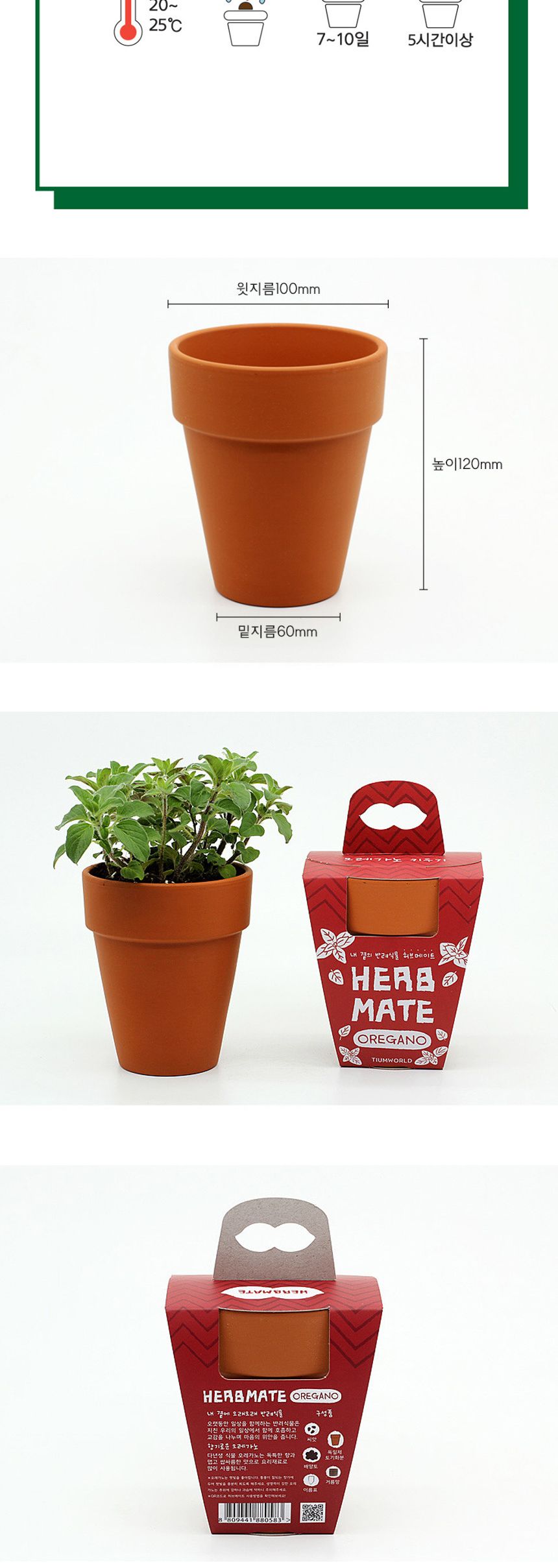 반려식물 오레가노 키우기 재료 모음 세트/식물키우기/식물재배기/DIY키트/홈가드닝/취미키트/반려식물/실
