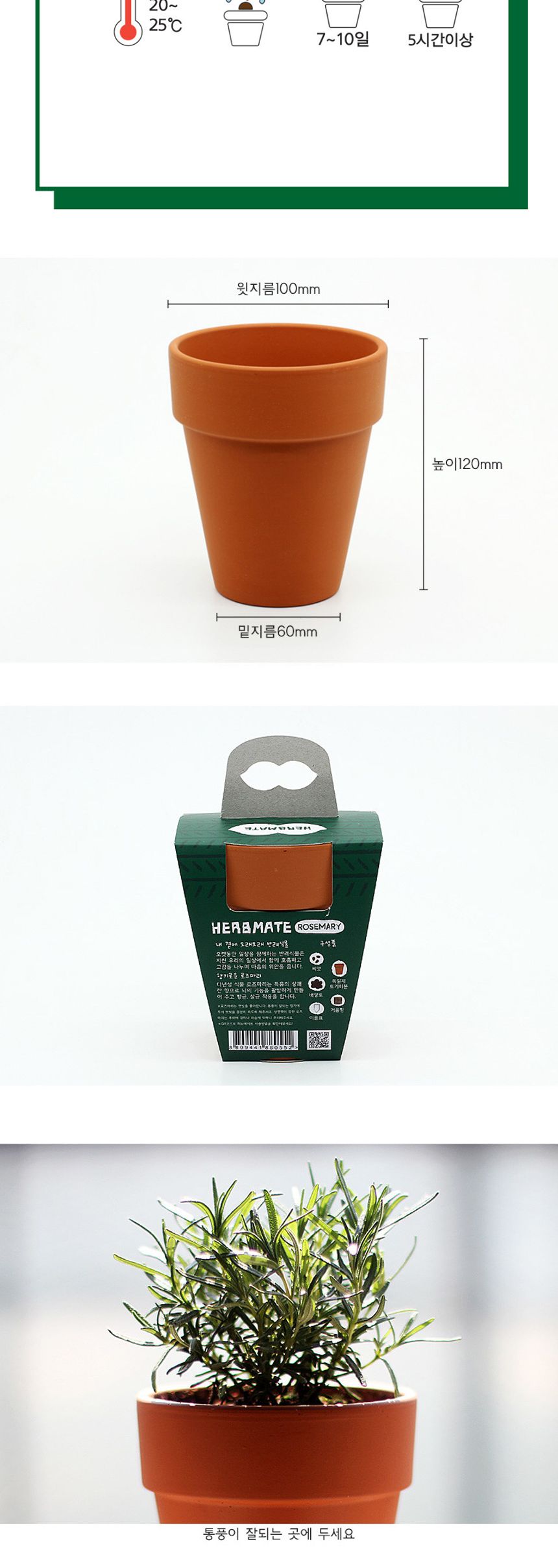 반려식물 로즈마리 키우기 재료 모음 세트/식물키우기/식물재배기/DIY키트/홈가드닝/취미키트/반려식물/실