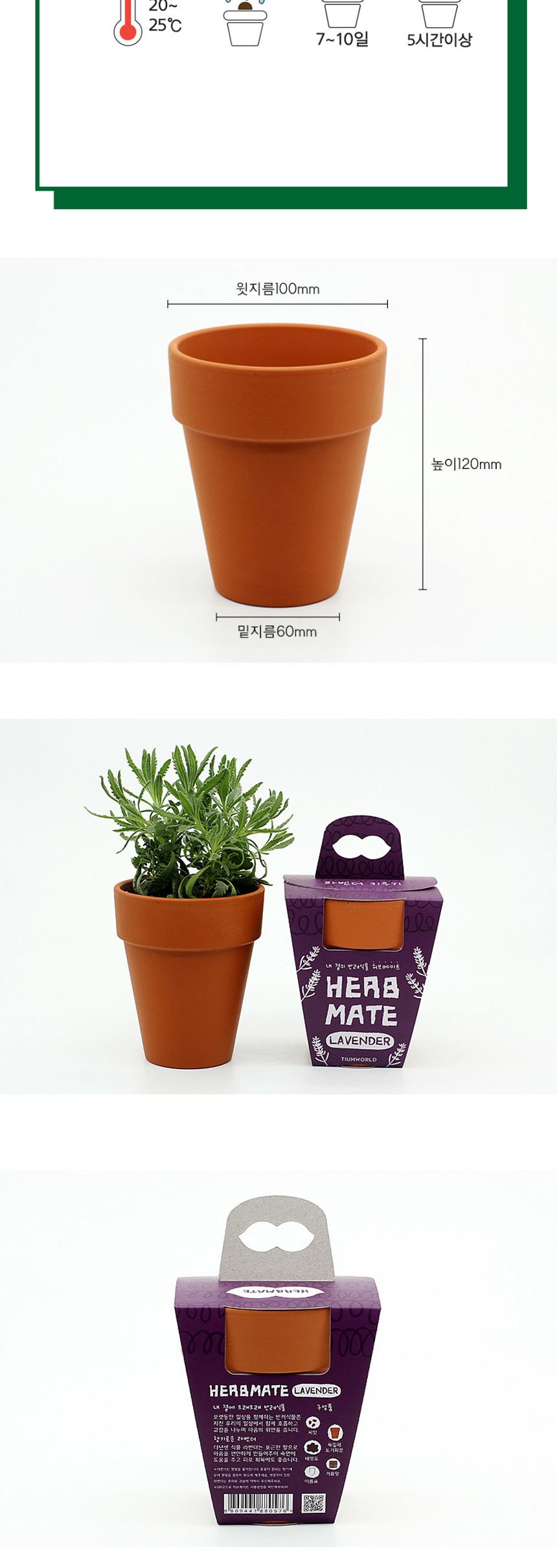 반려식물 라벤더 키우기 재료 모음 세트/식물키우기/식물재배기/DIY키트/홈가드닝/취미키트/반려식물/실내