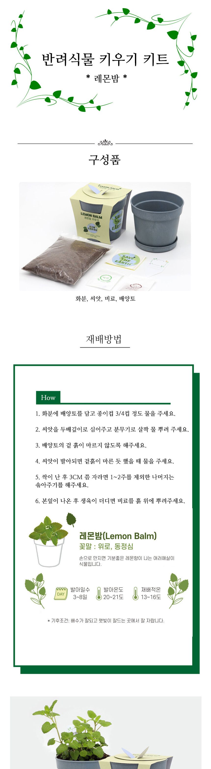 레몬밤 식물키우기 재배 세트/재배키트/식물키트/식물키우기/미니화분/화분세트/사무실식물/씨앗화분/씨앗