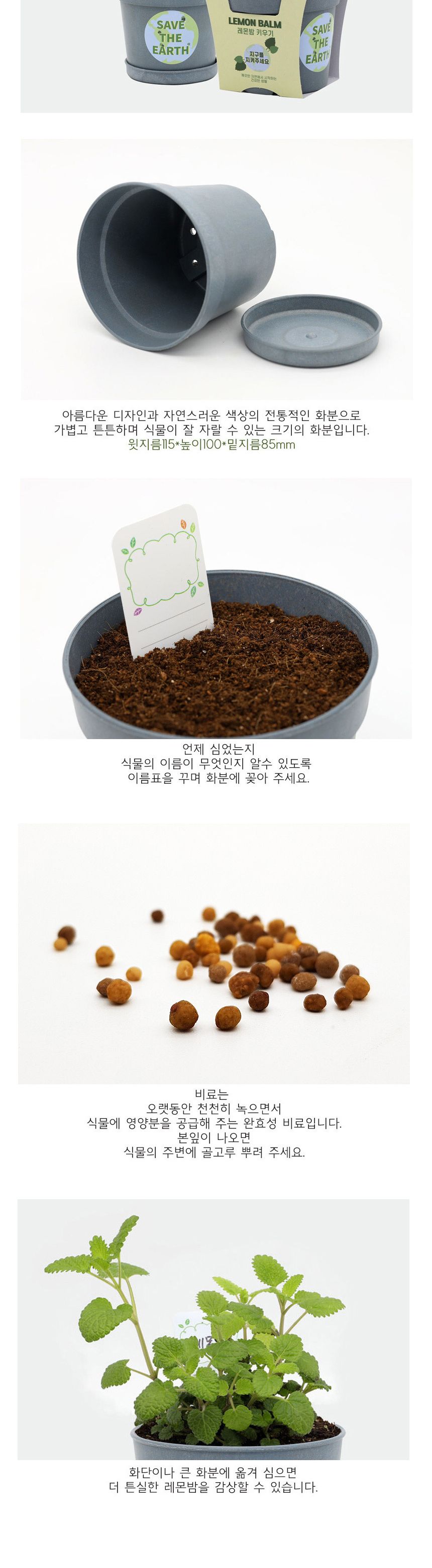 레몬밤 식물키우기 재배 세트/재배키트/식물키트/식물키우기/미니화분/화분세트/사무실식물/씨앗화분/씨앗