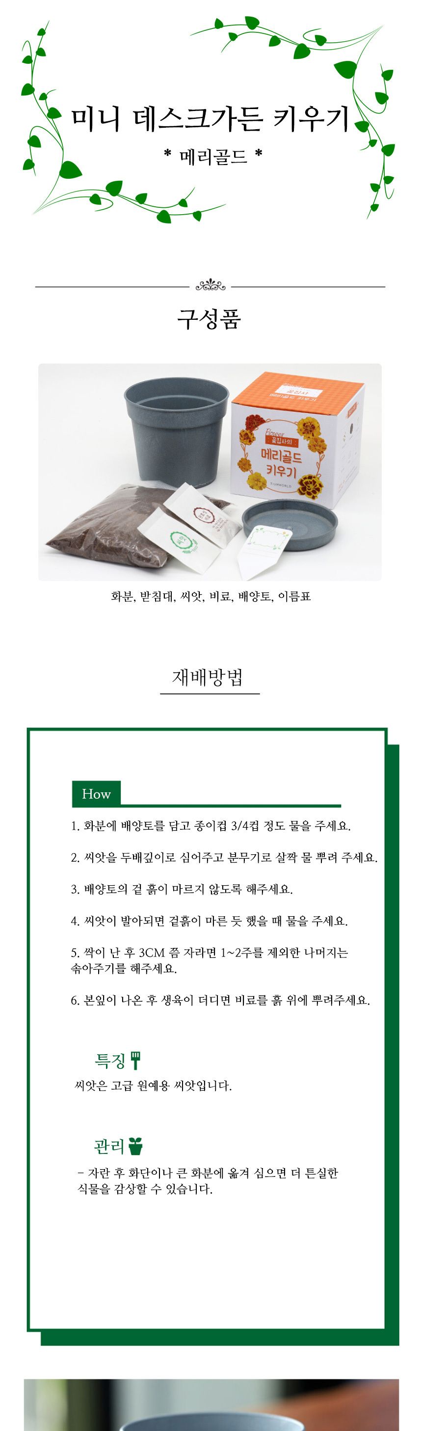 미니 꽃화분 메리골드 화원 DIY 패키지/꽃키우기/꽃화분/식물화분/재배세트/식물키우기/가정용식물/어린이