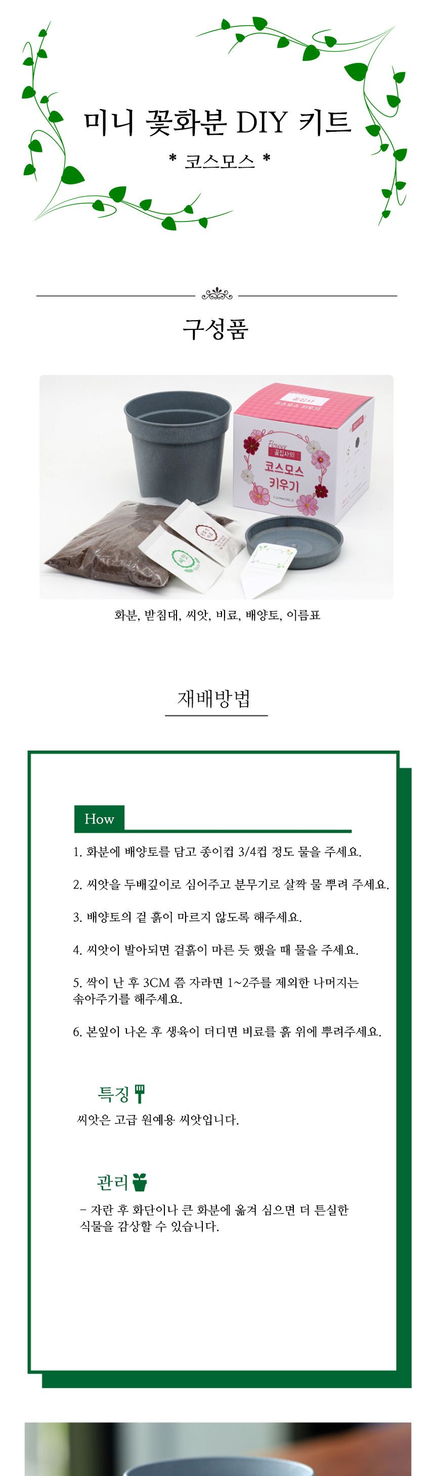 미니 꽃화분 코스모스 화원 DIY 패키지/꽃키우기/꽃화분/식물화분/재배세트/식물키우기/가정용식물/어린이