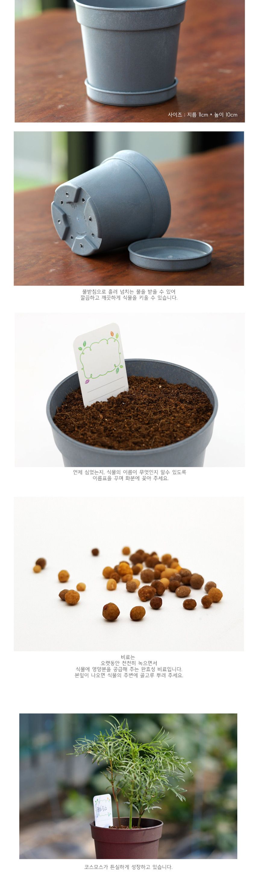 미니 꽃화분 코스모스 화원 DIY 패키지/꽃키우기/꽃화분/식물화분/재배세트/식물키우기/가정용식물/어린이