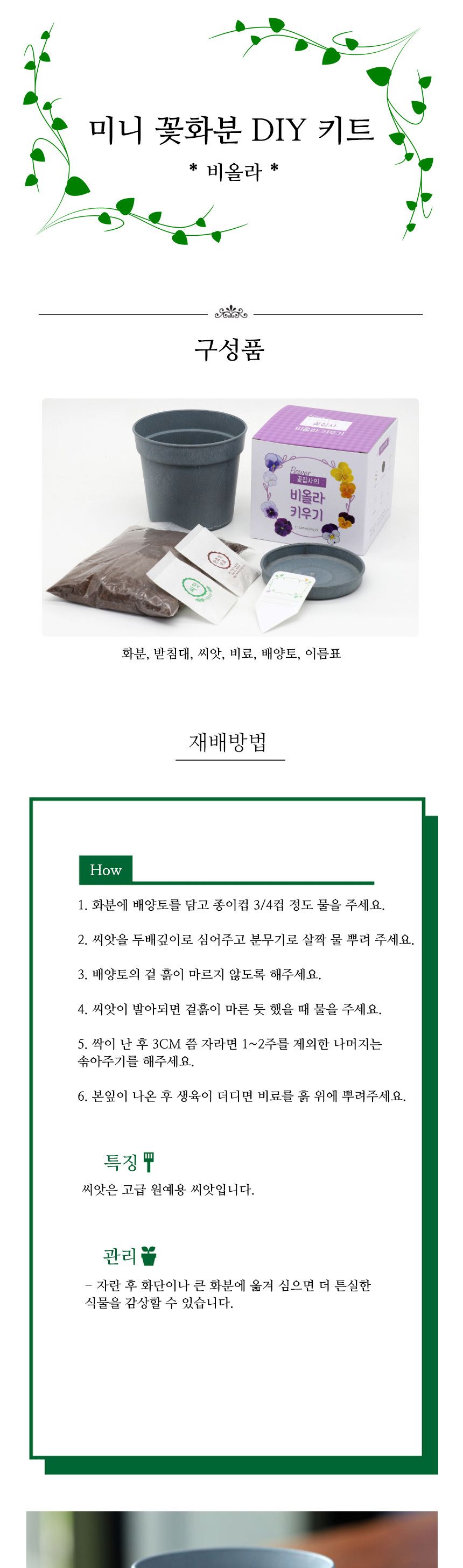 미니 꽃화분 비올라 화원 DIY 패키지/꽃키우기/꽃화분/식물화분/재배세트/식물키우기/가정용식물/어린이화